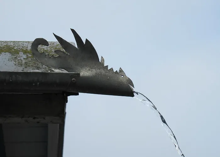 常青住宿加早餐旅馆 *