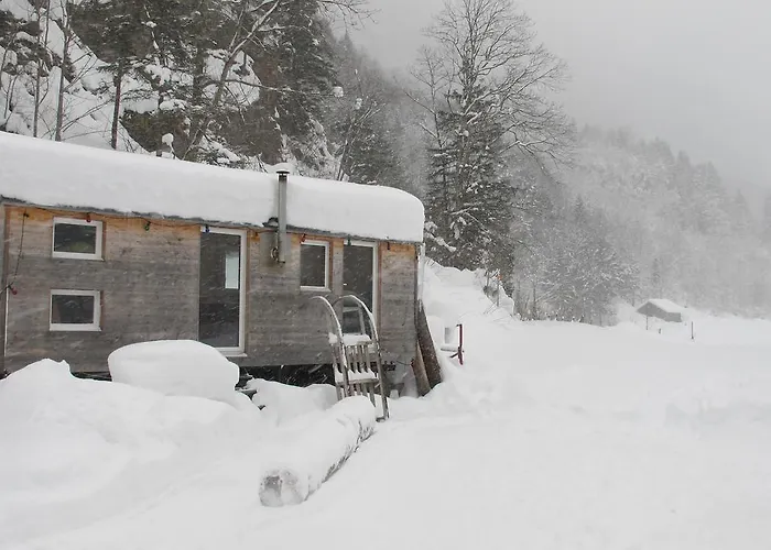 常青住宿加早餐旅馆